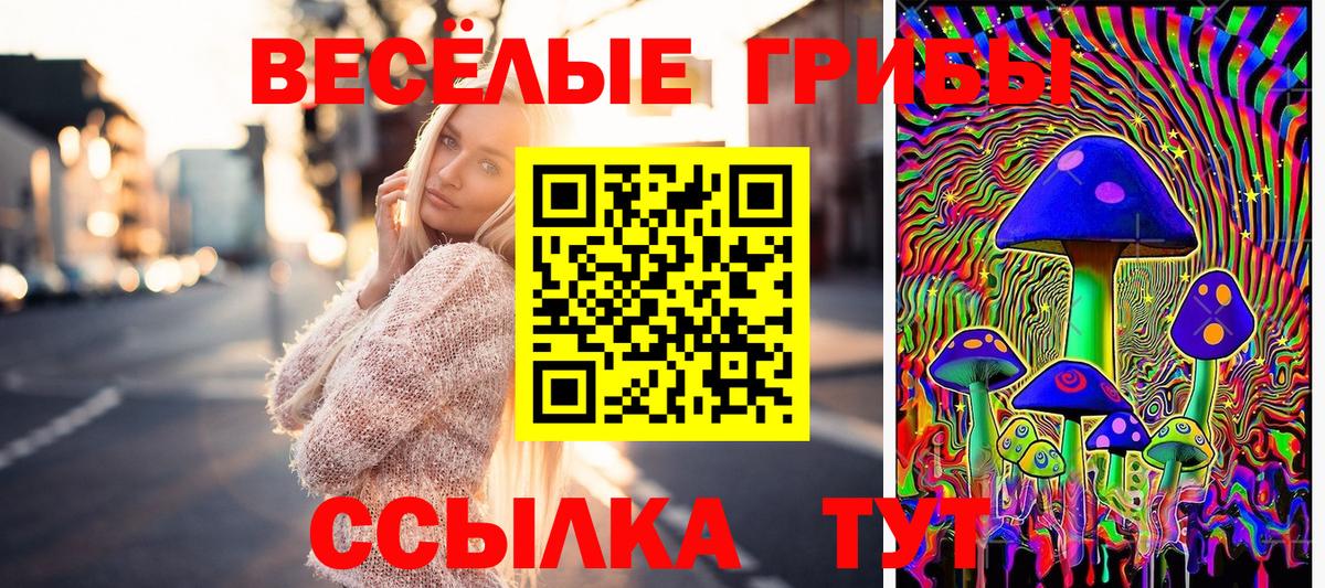 Псилоцибиновые грибы GOLDEN TEACHER  наркотики  Красноперекопск  Вход с VPN 