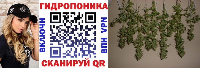 Конопля Amnesia  Красноперекопск 